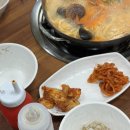 해닭칼국수