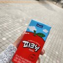 서현정토탈뷰티