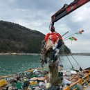 청정바다 이미지