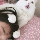 쓰담쓰담 이미지