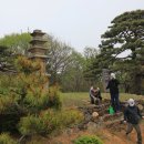 용천리 오층석탑 이미지