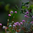 개울가 세탁 이미지