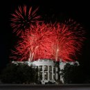 일본, 트럼프 대통령과 월드시리즈 관람 후 워싱턴 D.C. 리노베이션 위해 벚꽃나무 250그루와 불꽃놀이 기부 이미지