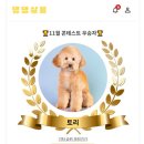 댕댕쌀롱 이미지