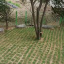 우리노인요양원