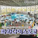 파라다이스스파도고 | [공지] 아산 도고온천 파라다이스 스파 도고 | 온천 스파 방문 후기