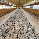 원곡축사 이미지