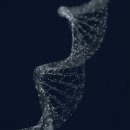 Power to bell | 단분자 감도 센싱 900nm 플라즈모닉 결합