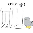 미담상회 네이버블로그