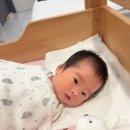주식회사 연세산후조리원 | [세종 산후조리원] 세종 연세산후조리원 vip실 13박14일 이용후기