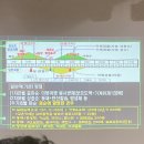 표선면사무소 이미지