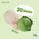 해밀톤미용실 | 쌍둥이 임신 30주차 배뭉침부터 밑빠짐까지 고난의 연속