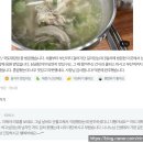 매천경로당 | [여자 혼자 서울-부산 국토대장정] 국토대장정에는 얼마가 들까? 실제 사용한 비용 총정리 및 예산...