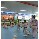 용인대능동태권도 이미지