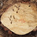 은평-074 이미지