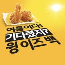 맥도날드 맥윙 간보기 또 시작됨 이미지