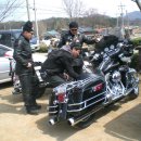 할리농장 이미지