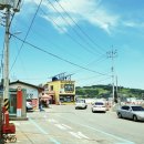 백야해안길 이미지