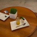 미아 리조트 나트랑 가든 유닛 1베드룸 인피니티 풀 수영장 조식 나트랑 리조트 추천