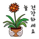 도서출판 성광