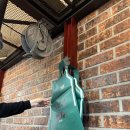 동백초밥(상록회관연탄구이 부산서면점) | 서면 상록회관 연탄구이 야장 분위기 나는 상록회관에서 조개구이 먹은 후기