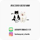티에스퍼니처 | 수납장 거실장 추천 티에스퍼니처 두로 철제 책장