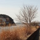 남의로-1 이미지