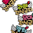 복똥이강아지 네이버블로그