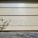 스테이숨길 이미지