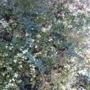 평화어린이집 이미지