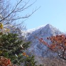 서귀포 종합사회복지관 이미지