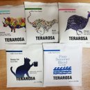 (주)지이스토리 | 202507 week2: SBN들 다들 이짓을 어떻게 하신 겁니까, 게자리 가족, 북클럽