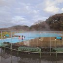 에코랜드수영장 수영장 이미지