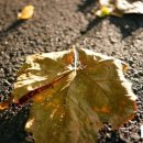 세가 소돈 주식회사 이미지