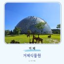 진틀주차장 | 거제도 실내 가볼만한곳 추천 거제식물원 입장료 여름 정글돔 진틀리움