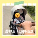 러브 | 폴레드 에어러브 도넛 후기/솔직후기/유모차 통풍시트 후기/에어시트 후기