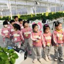 군남초교 병설유치원 이미지