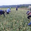 국립합창단 영화음악여행 이미지