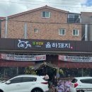 율하돼지