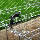 (주)서진팜 이미지