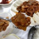 뉴곰돌이야식 이미지