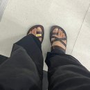 예루살렘 샌들 소피아 구매 후기 (JERUSALEM SANDALS)