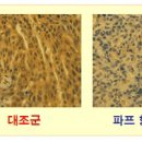 주식회사 렉스바이오 정책브리핑