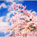 벤자민피부과의원 이미지