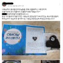 독수리태권도장 이미지