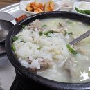 백여사국밥 티스토리