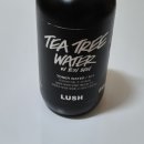 트리워터(tree water)