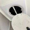 화이트클린 이미지