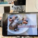 아라스테이 이미지