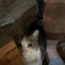 물개스테이 이미지